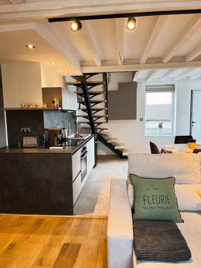 Appartement Bulles En Beaujolais à Fleurie Extérieur photo